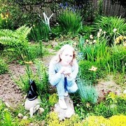  -,   , 29 ,     , c 
