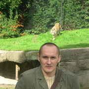  Zitiste,  , 55