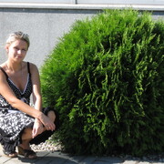 ���������� �����������, ���� ������� �����, 49 ���, ������������ ��� ������, ����� � ���������, c�������� ���������