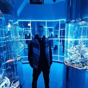 ���������� ����������, ���� ������� ����, 36 ���, ������������ ��� ������, ����� � ���������