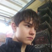  ,   , 31 ,  