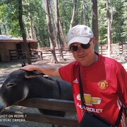 ���������� �������, ���� ������� Petr, 43 ����, ������������ ��� ������, ����� � ���������, c�������� ���������