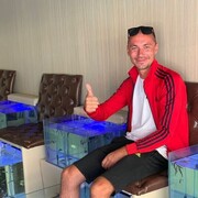 ���������� �������, ���� ������� ���������, 38 ���, ������������ ��� ������, ����� � ���������