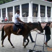 ���������� ���������, ���� ������� ����, 45 ���, ������������ ��� ������