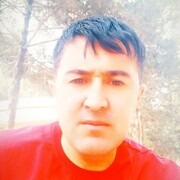 ���������� ������������, ���� ������� Sh Umr, 40 ���, ������������ ��� ������, ����� � ���������