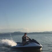 ���������� ����������, ���� ������� ����������, 44 ����, ������������ ��� ������, ����� � ���������