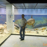 ���������� ���������, ���� ������� Valihan05588, 51 ���, ������������ ��� ������, ����� � ���������, c�������� ���������