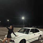 ���������� �����, ��������