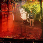 ���������� ���������, ���� ������� ����� ������, 48 ���, ������������ ��� ������, ����� � ���������, c�������� ���������, ���������