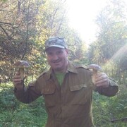 ���������� �����-���������, ���� ������� �����, 50 ���, ������������ ��� ������, ����� � ���������, c�������� ���������