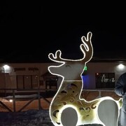  ,   Mikhail, 37 ,   ,   , c , 