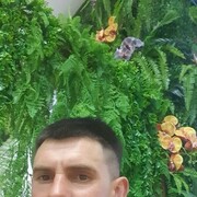 ���������� ����������, ���� ������� ������, 32 ����, ������������ ��� ������, ����� � ���������, c�������� ���������