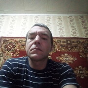  -,  , 41
