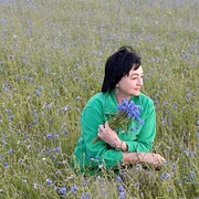 ���������� �����������, ���� ������� ������, 60 ���, ������������ ��� c�������� ���������