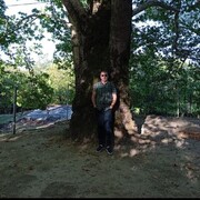 ���������� ������, ���� ������� ������, 41 ���, ������������ ��� ������, ����� � ���������