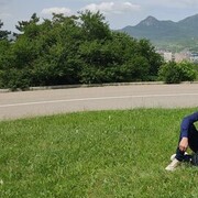  ,   , 41 ,     