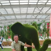  ,   , 40 ,   