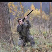 ���������� �����, ���� ������� ������, 40 ���, ������������ ��� ������, ����� � ���������, c�������� ���������