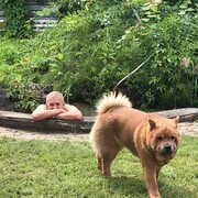 ���������� ������, ���� ������� �������, 61 ���, ������������ ��� ����� � ���������, c�������� ���������