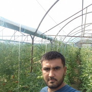  ,  Samad, 31