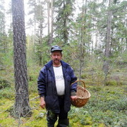  ,   , 55 ,   