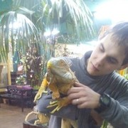 ���������� ������������, ���� ������� �������, 30 ���, ������������ ��� ������, ����� � ���������, c�������� ���������