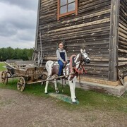 ���������� ����, ���� ������� ������, 37 ���, ������������ ��� c�������� ���������