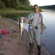 ���������� ����������, ���� ������� ��������, 50 ���, ������������ ��� ������, ����� � ���������, c�������� ���������, ���������