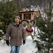 ���������� ���������, ���� ������� �������, 43 ����, ������������ ��� ����� � ���������, c�������� ���������