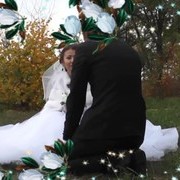 ���������� ���������, ���� ������� ����, 36 ���, ������������ ��� ������