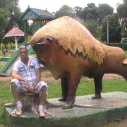  -,   , 60 ,   ,   , c 