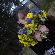 ���������� ������, ���� ������� ����������, 41 ���, ������������ ��� ���������