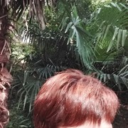  ,   , 51 ,   ,   , c 