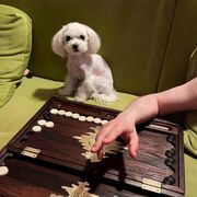  ,   , 27 ,   ,   , c , 