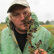 ���� ������ ������