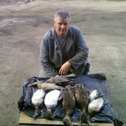 ���������� ����, ���� ������� ������, 40 ���, ������������ ��� ������