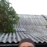 ,   , 48 ,  