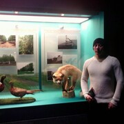 ���������� ������, ���� ������� ����, 32 ����, ������������ ��� ������, ����� � ���������