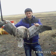  ,  sergey, 43