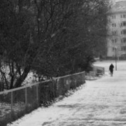 ���������� ������, ���� ������� ARA, 35 ���, ������������ ��� ������, ����� � ���������, c�������� ���������