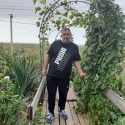  ,   , 52 ,   ,   