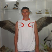 ���������� ���������, ���� ������� �������, 48 ���, ������������ ��� ������, ����� � ���������, c�������� ���������