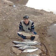  ,   Rustem, 49 ,   ,   , c 