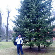  ,   Erkan, 33 ,   ,   , c 
