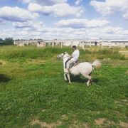 ���������� ������, ���� ������� ����, 27 ���, ������������ ��� ������, ����� � ���������