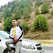  ,   Bek, 31 ,     , 