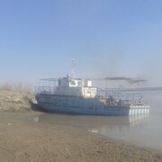  ,   Zokir, 39 ,   ,   
