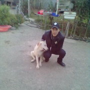 ���������� ������, ���� ������� Daulet, 35 ���, ������������ ��� ������