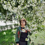 ���������� ��������, ���� ������� ���������, 67 ���, ������������ ��� ������, ����� � ���������