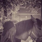 ���������� �������, ������